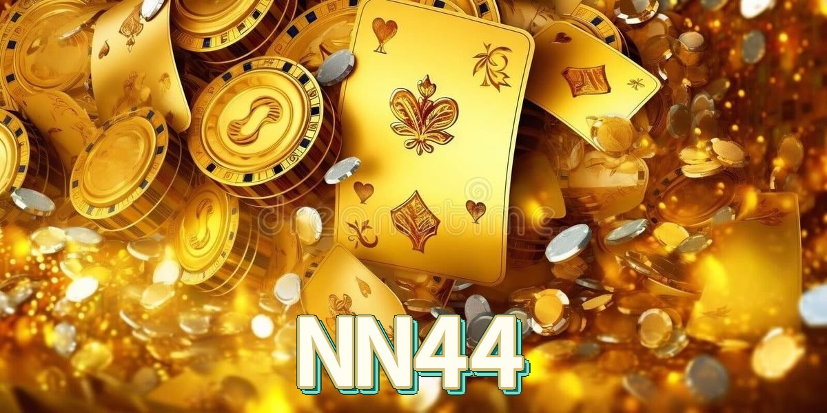 Comparação detalhada APP NN44 vs versão web